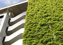 立體綠化獎勵補助政策有哪些？