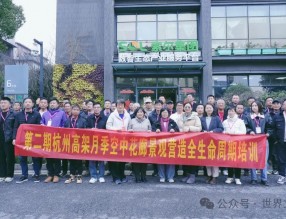 構筑學習平臺，傳授杭州網紅高架月季經驗