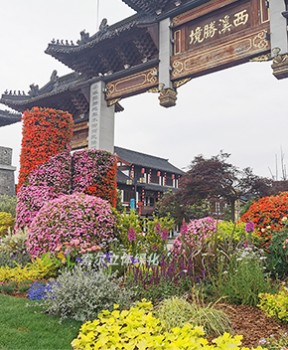 景區(qū)景觀綠化提升