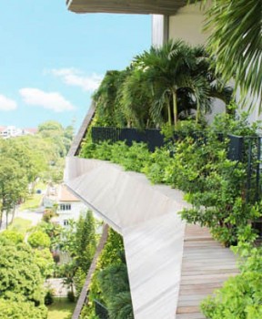 窗陽臺綠化提升