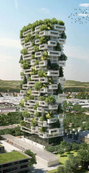 索爾集團(tuán)價(jià)值觀