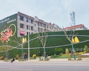 宿州老舊小區(qū)景觀提升立體綠化項(xiàng)目