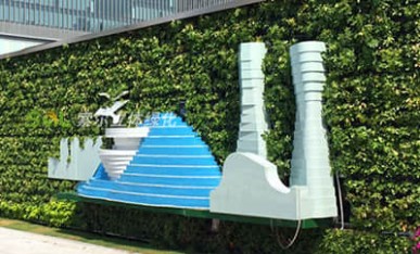 道路圍墻植物墻