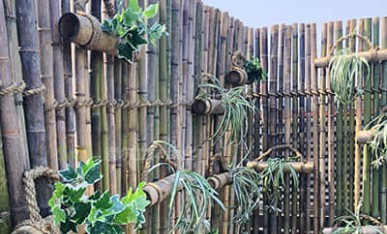 辦公大樓屋頂花園