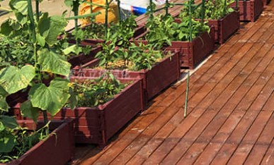 產(chǎn)業(yè)園區(qū)屋頂花園