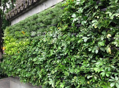 公廁生態(tài)環(huán)境解決方案簡介