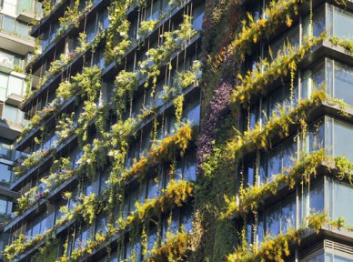 小區立體綠化解決方案簡介