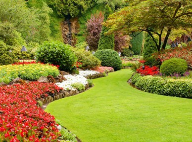 會(huì)所園林景觀解決方案簡(jiǎn)介