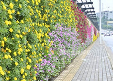 道路景觀提升解決方案