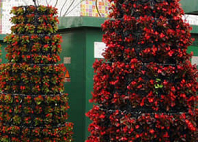 鮮花瀑布/拱門解決方案