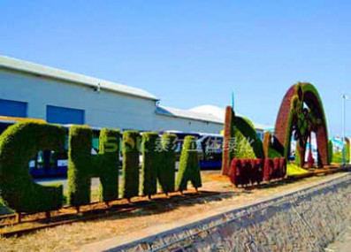 青島上合峰會主題綠雕