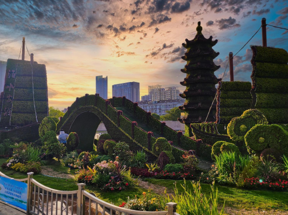 《淮水安瀾》——淮安廣場(chǎng)主題綠雕