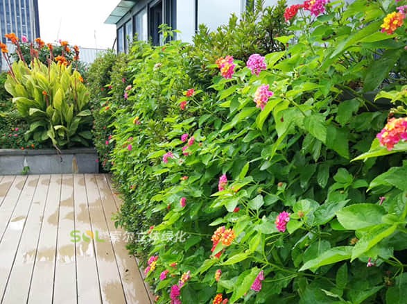 索爾大樓屋頂花園