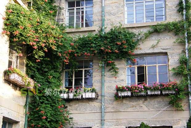 窗臺美化景觀設(shè)計(jì)實(shí)際效果圖