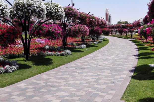 花樹景觀設(shè)計(jì)實(shí)際效果圖