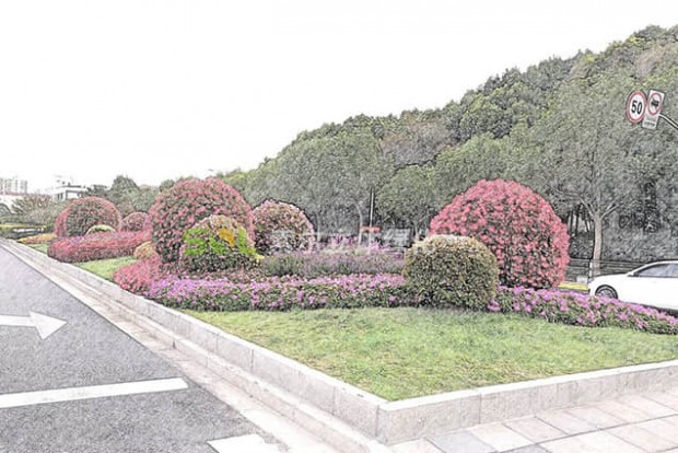 花球景觀設(shè)計(jì)效果圖