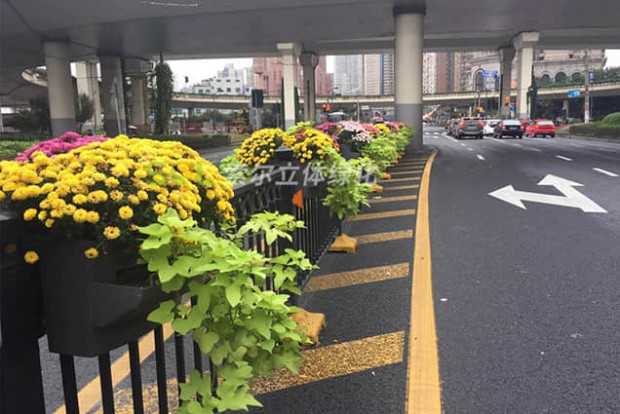 護(hù)欄綠化景觀設(shè)計(jì)實(shí)際效果圖