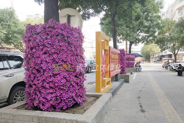 行道樹景觀設(shè)計(jì)實(shí)際效果圖