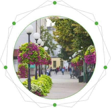 燈桿綠化的特點