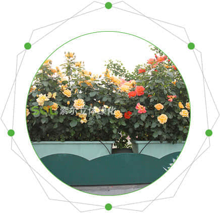 高架橋綠化的特點(diǎn)