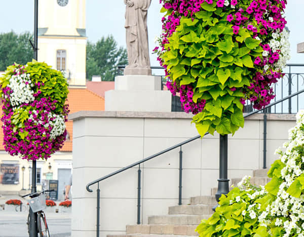 燈桿綠化解決方案簡介2