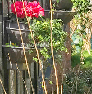 護欄綠化-單面掛