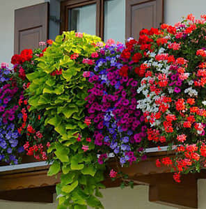 陽臺護欄單面掛式美化