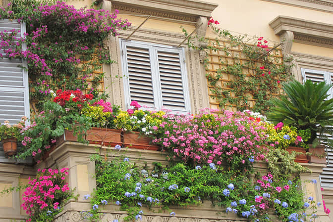 居住空間景觀提升高端別墅陽臺花園