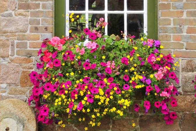 道路街道景觀提升步行街門店窗臺美化