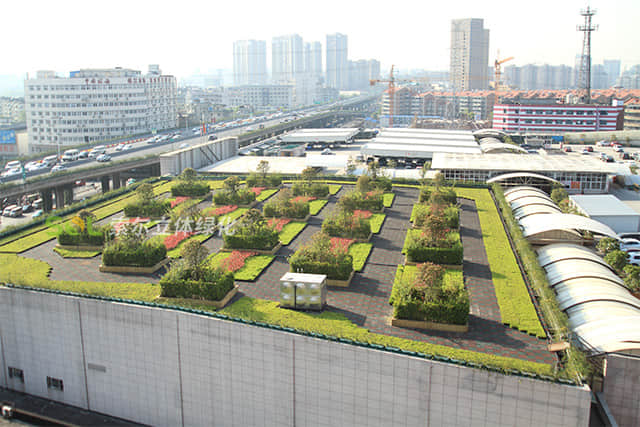 屋頂綠化001.jpg