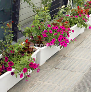 人行天橋綠化-擺放式