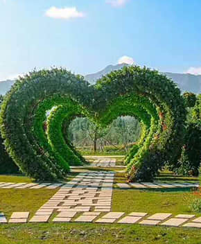 公園景觀提升解決方案