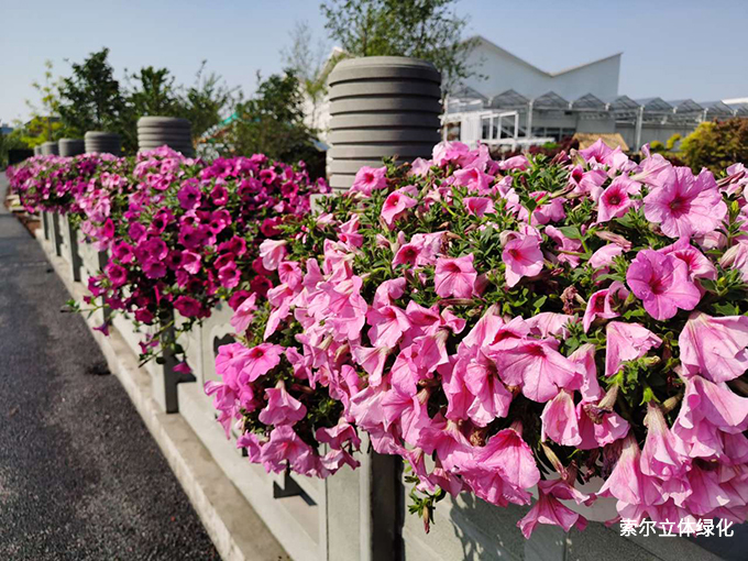 2020世界花園大會護(hù)欄美化39.jpg