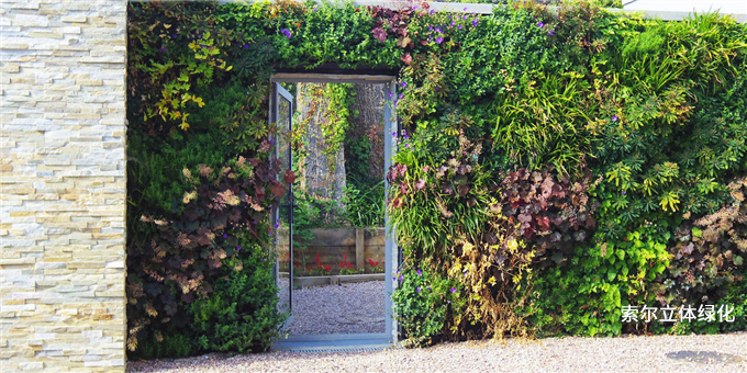 19植物墻垂直綠化.jpg