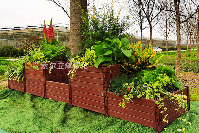 行道樹綠化公園景點景觀提升1