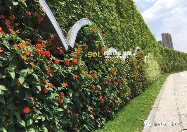 04 G20峰會浙江杭州植物墻道路圍擋垂直綠化.jpg