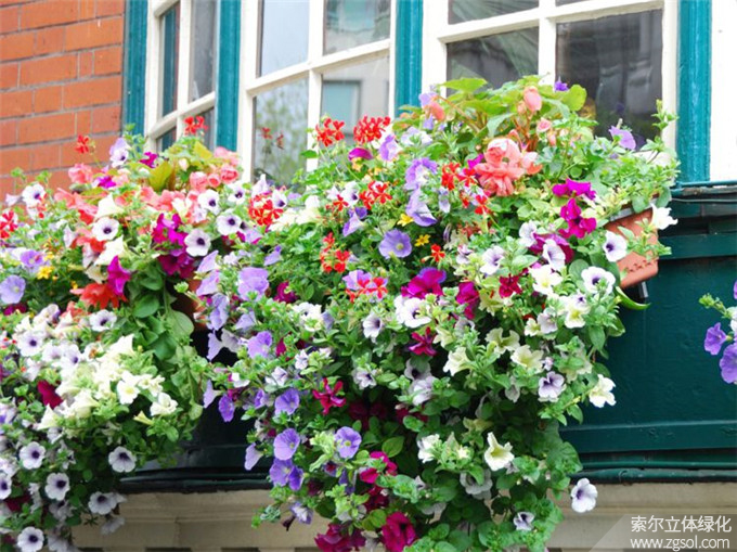 27國外窗臺美化素材 (2).jpg