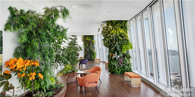 32室內植物裝飾 美國舊金山Salesforce Tower大樓Ohana Floor屋頂公園 (1).jpg