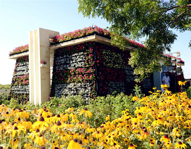 公廁立體綠化 (5).jpg