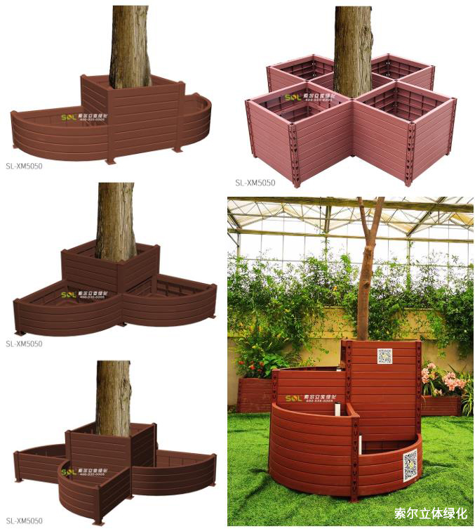 18索爾行道樹綠化造型 (14).jpg