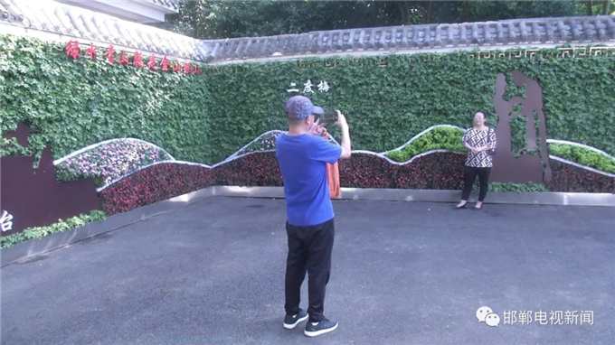 邯鄲電視新聞：我市首例“墻上花園”亮相叢臺公園 (1).jpg