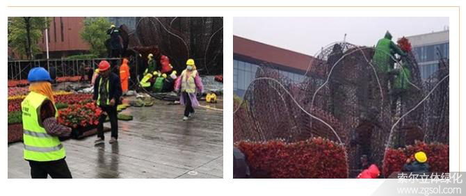 24山東青島膠州市民文化中心五一立體花壇“幸福花開” (45).jpg