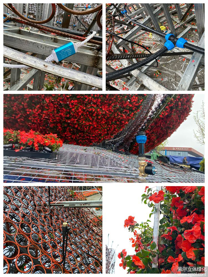 30山東青島膠州市民文化中心五一立體花壇“幸福花開” (13).jpg