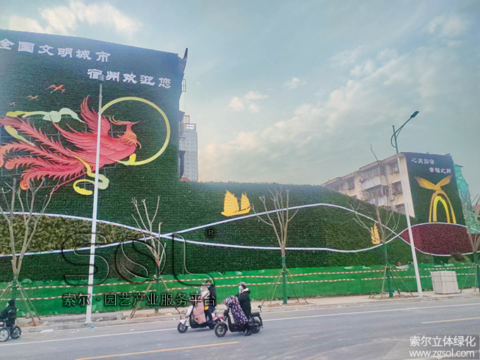 14 2021年1月安徽宿州立體綠化項(xiàng)目 (13).jpg