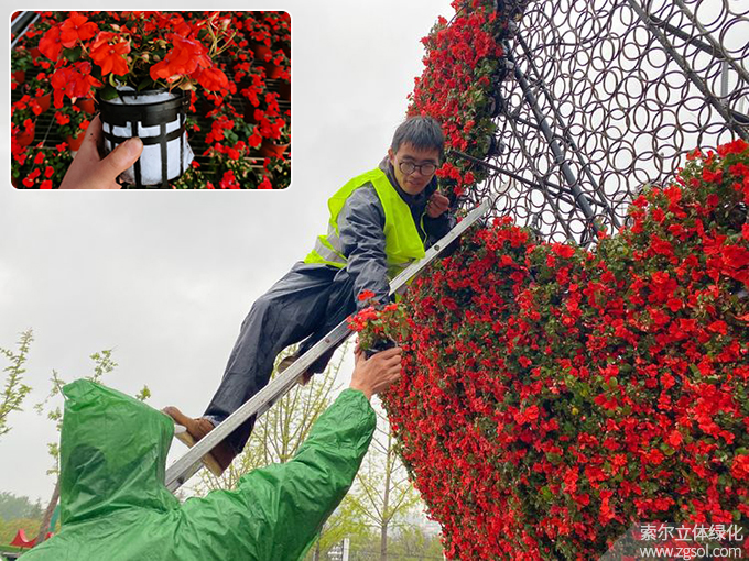 25山東青島膠州市民文化中心五一立體花壇“幸福花開” (24).jpg