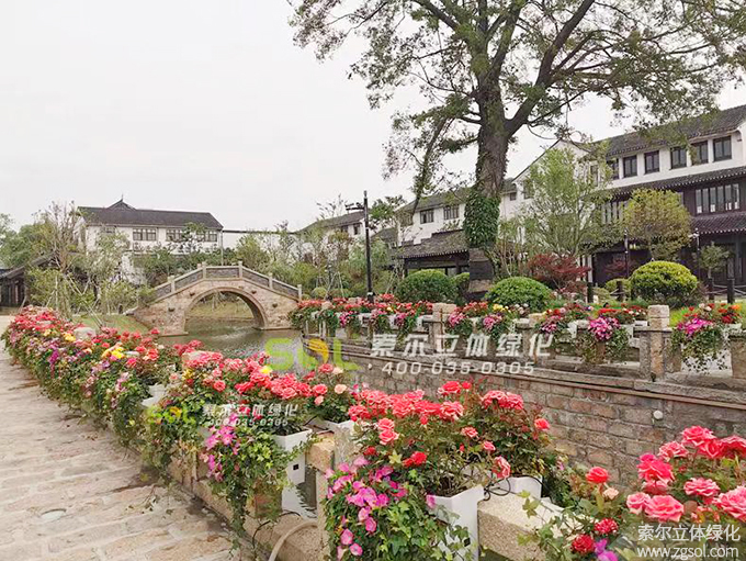 16 2020年4月28日江蘇東臺西溪古鎮五一景觀提升河岸護欄美化 (1).jpg